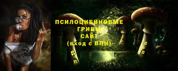 MDMA Новодвинск