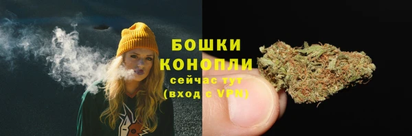 марки lsd Новозыбков