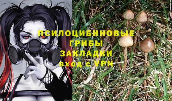 марки lsd Новозыбков