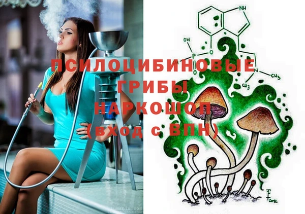 MDMA Новодвинск