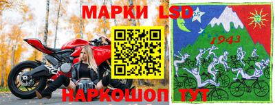 гидропоника Гусев