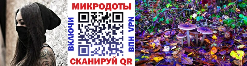 Галлюциногенные грибы Psilocybe  Ивантеевка 