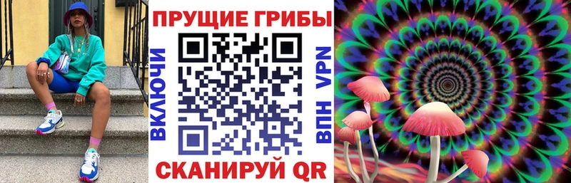 Галлюциногенные грибы прущие грибы Ивантеевка