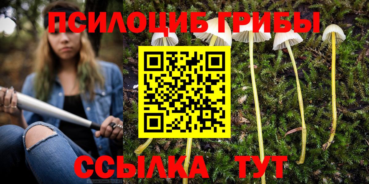 Псилоцибиновые грибы ЛСД Ивантеевка