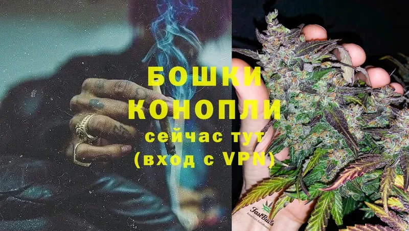 закладки  Ивантеевка  hydra ссылки  Конопля LSD WEED 